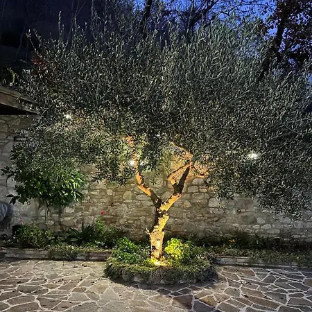 Mulino Brandolini * Vicoli