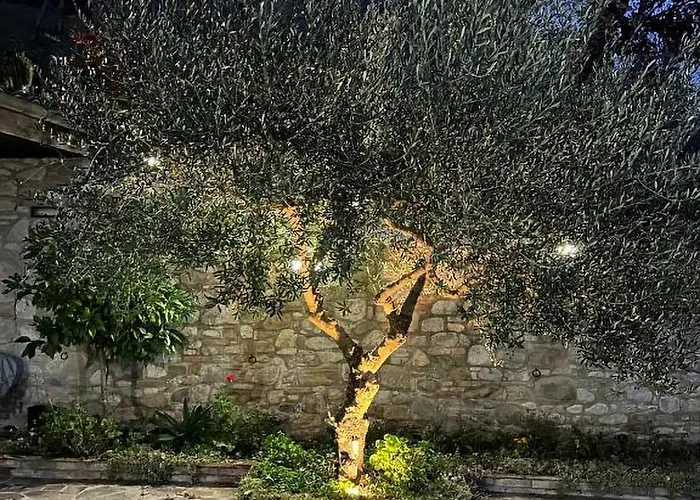 Mulino Brandolini * Vicoli